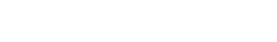 insight motion LOGO